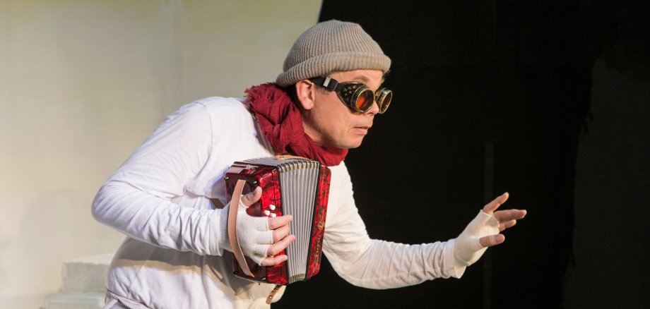 جميع طيور البطريق