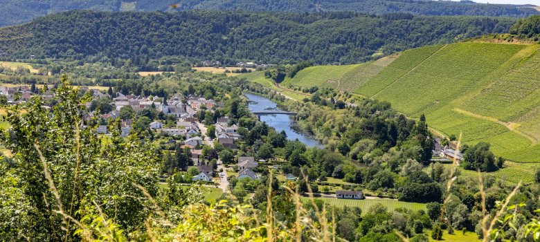 Wiltingen Wiltingen