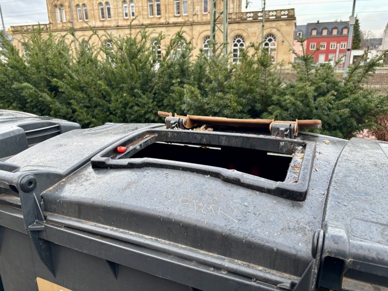 Rats at the garbage containers at the train station in Konz? Rats at the garbage containers at the train station in Konz?