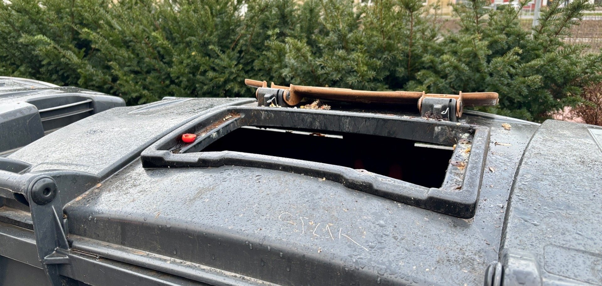 Ratten bij de afvalcontainers bij het station in Konz?