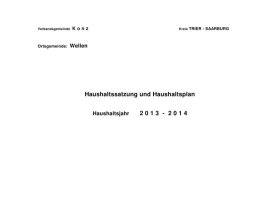 Vorschau Haushaltsplan Wellen 2013-2014.pdf