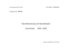 Vorschau Haushaltsplan Wellen 2019-2020.pdf