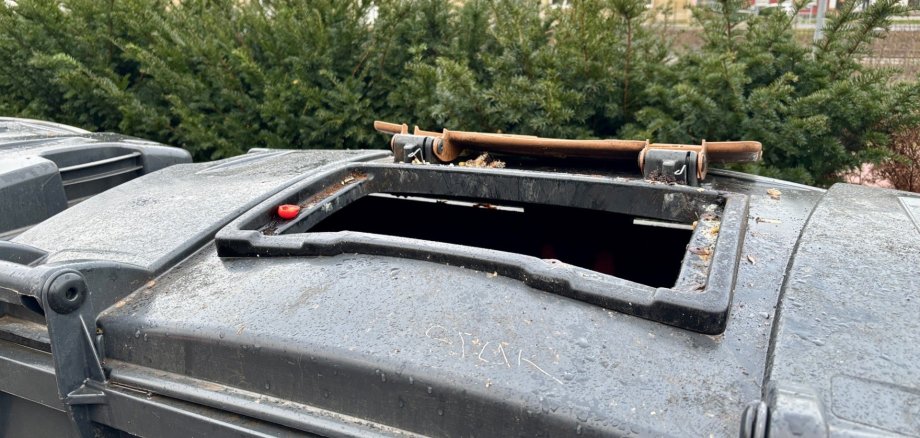 Крысы в мусорных контейнерах на вокзале в Конце? Крысы в мусорных контейнерах на вокзале в Конце?