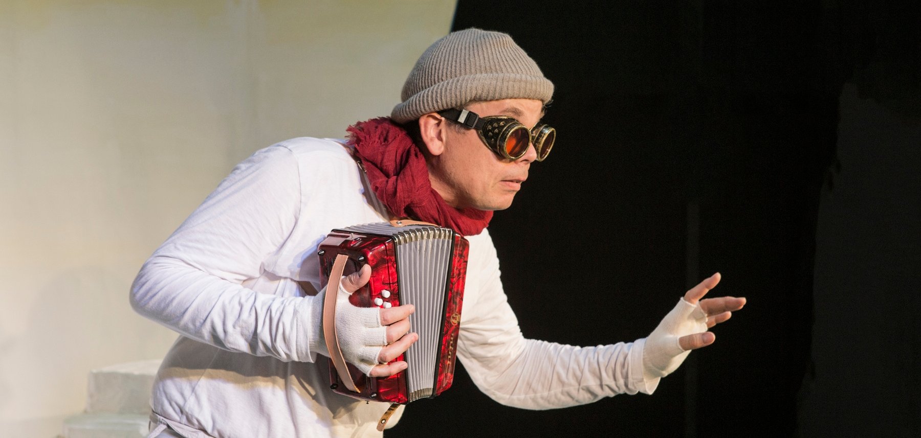 все пингвины