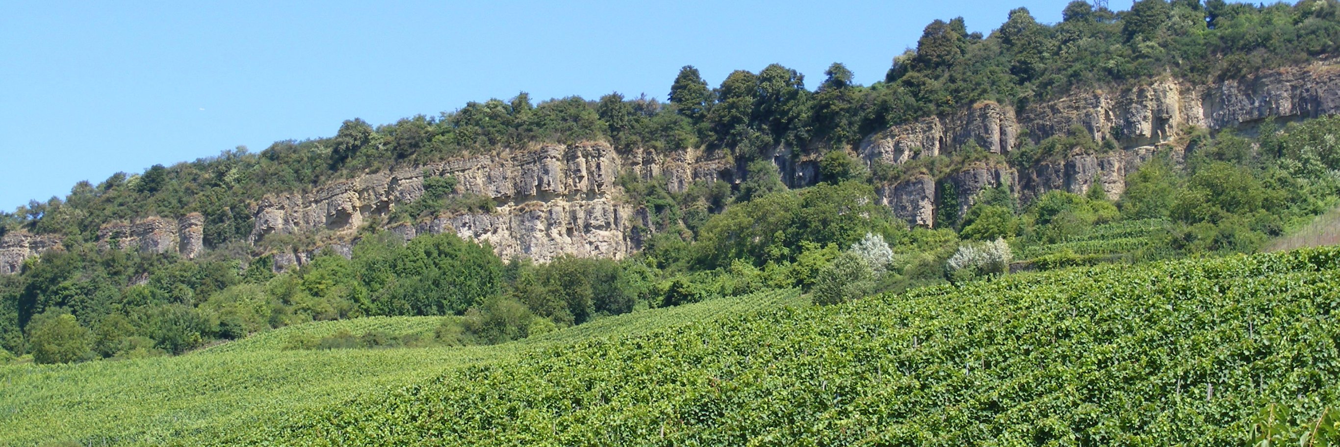 Portrait der VG Konz Stadt & Verbandsgemeinde Konz